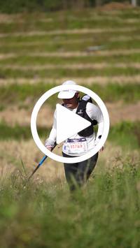 BIB:  <button type="button" onclick="openModal(26787032)" class="btn btn-primary btn-sm float-right" data-toggle="modal" data-target=".modal-high-quality">
                <i class="fa fa-download"></i> Download
                </button>